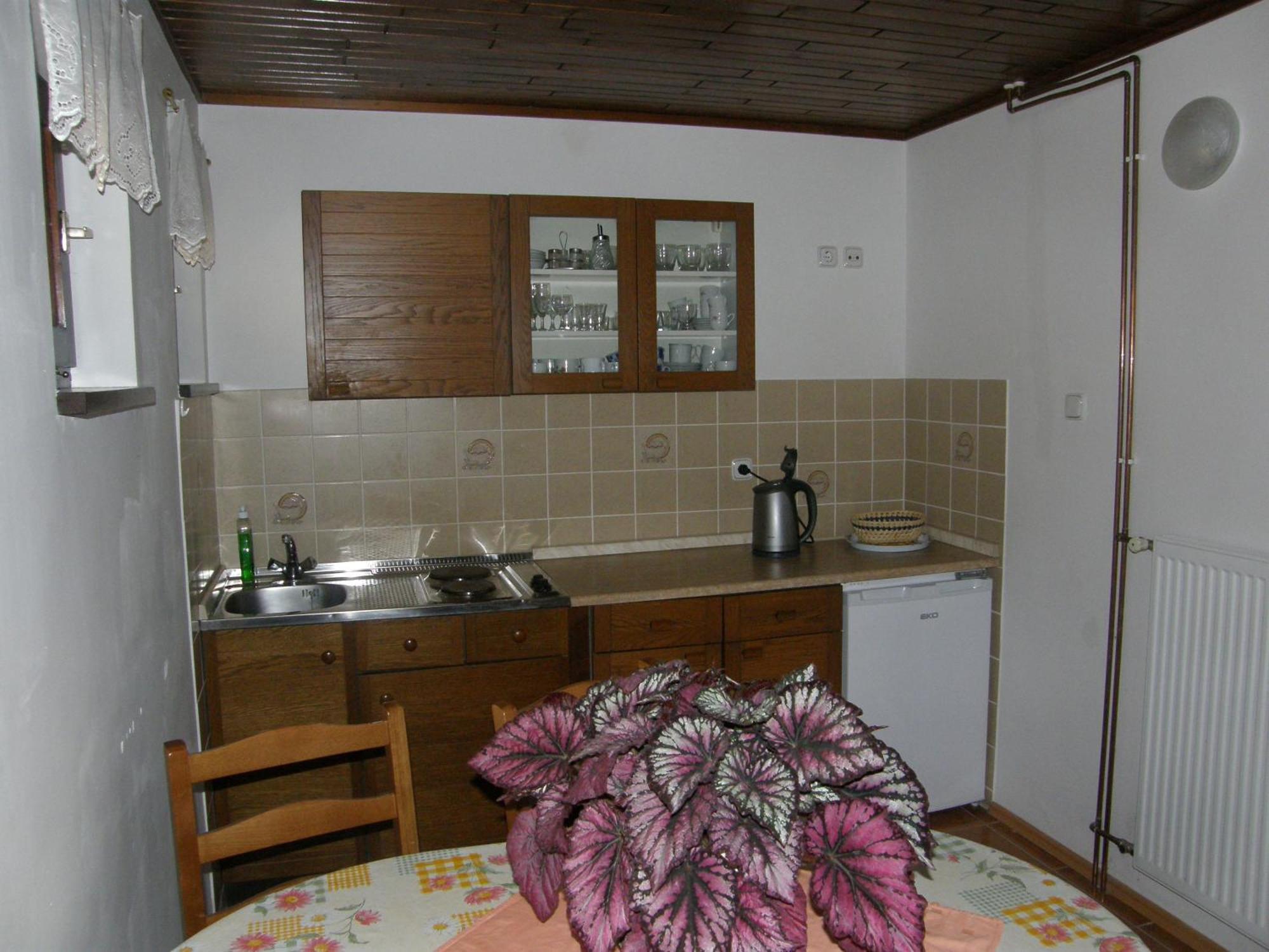 Booa Rooms Irena Bohinj Zewnętrze zdjęcie
